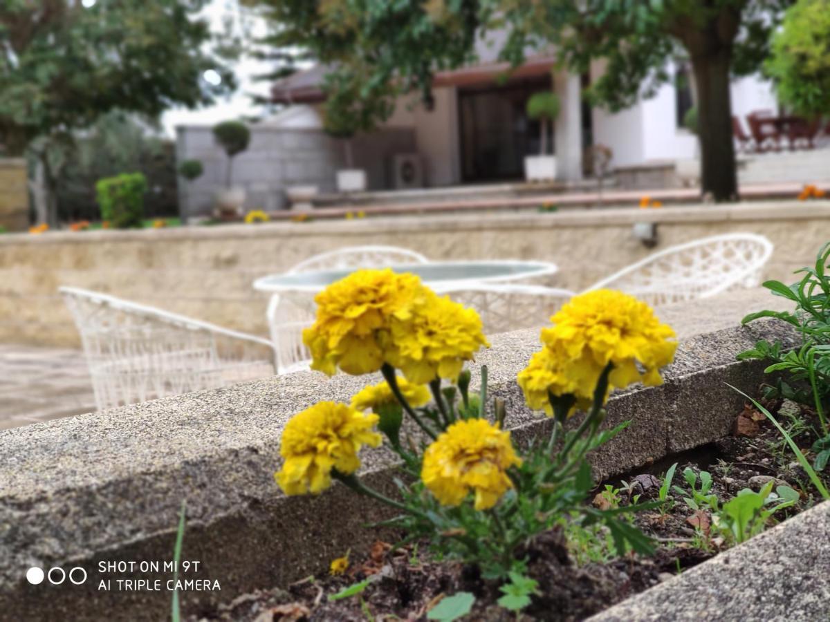 Villa Blanca Con Piscina A 15 Minutos De Toledo - Apartamentos Aloha Toledo Olías del Rey Exterior foto